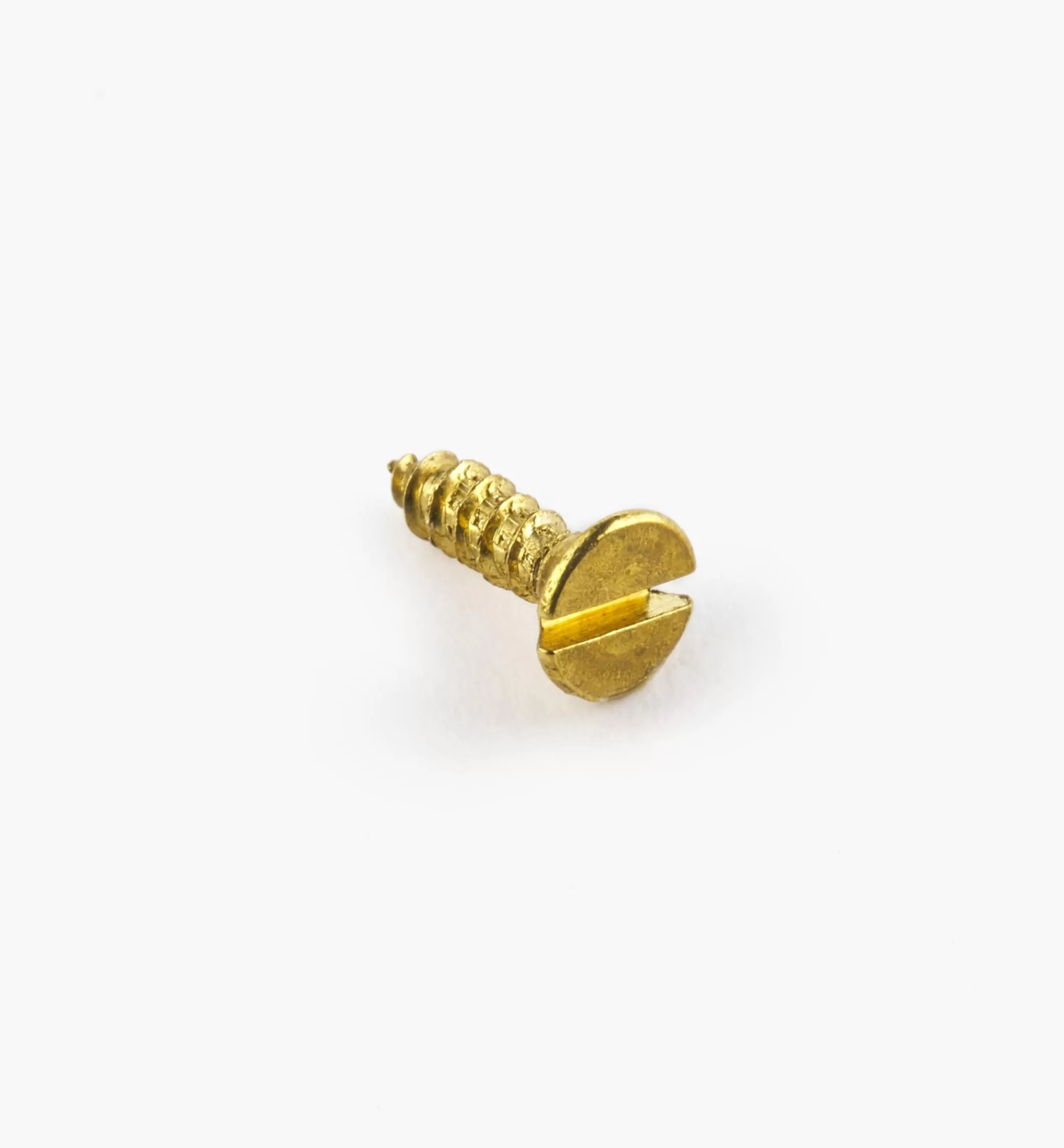 Store Lee Valley 1/4" #1 Flat-Head Brass Screws