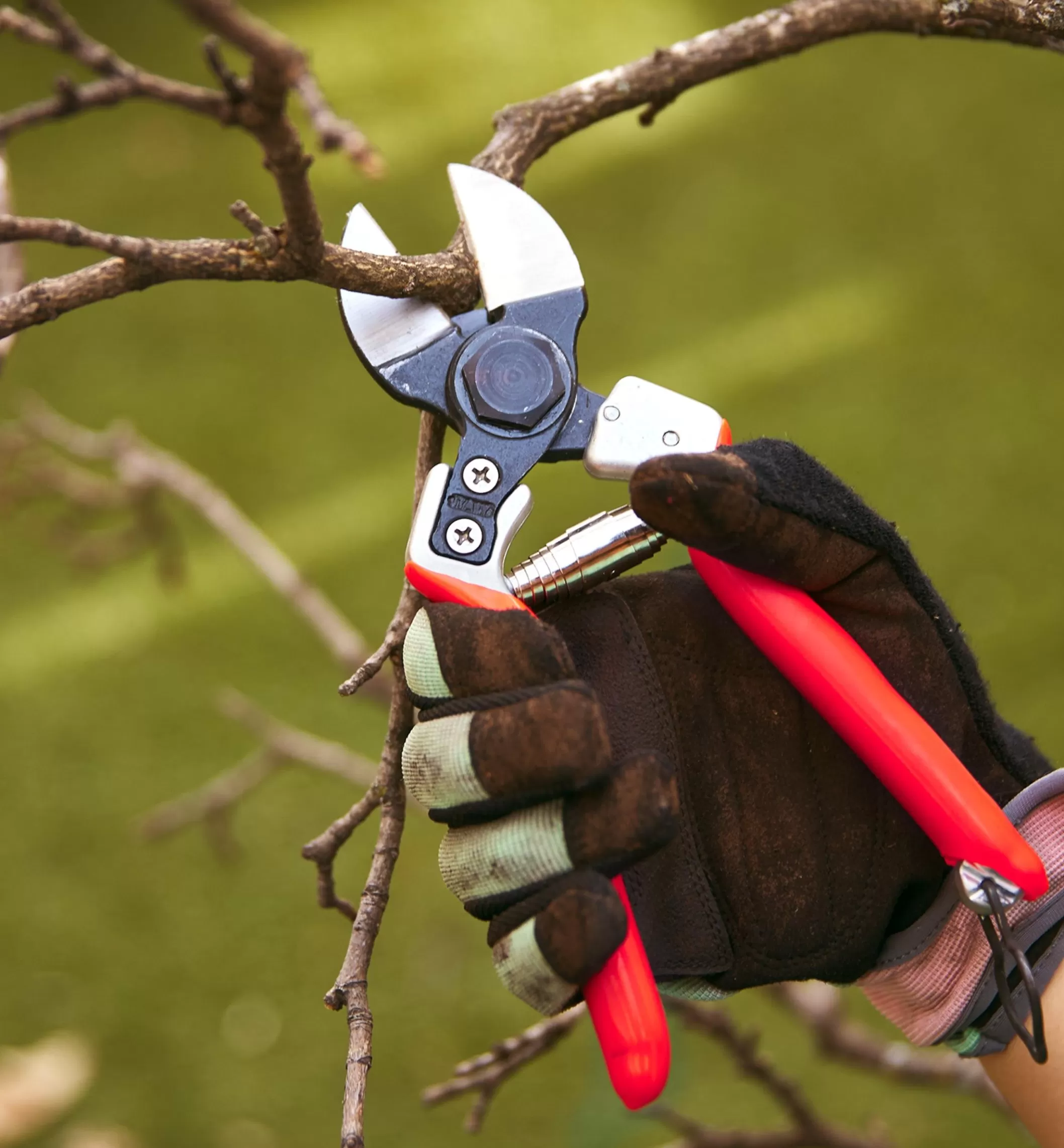 Sale Lee Valley Castellari Double-Bladed Pruner
