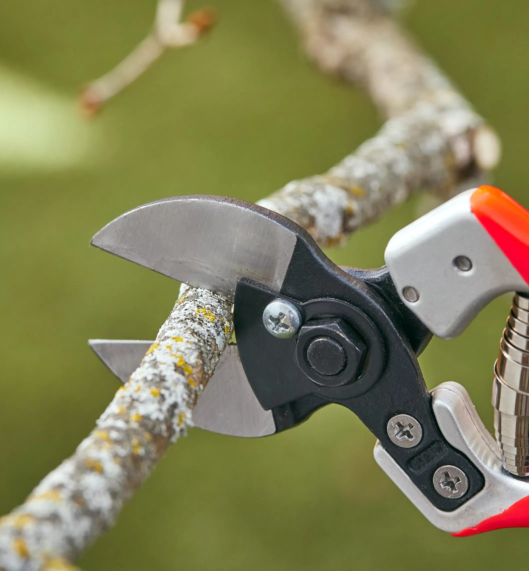 Sale Lee Valley Castellari Double-Bladed Pruner
