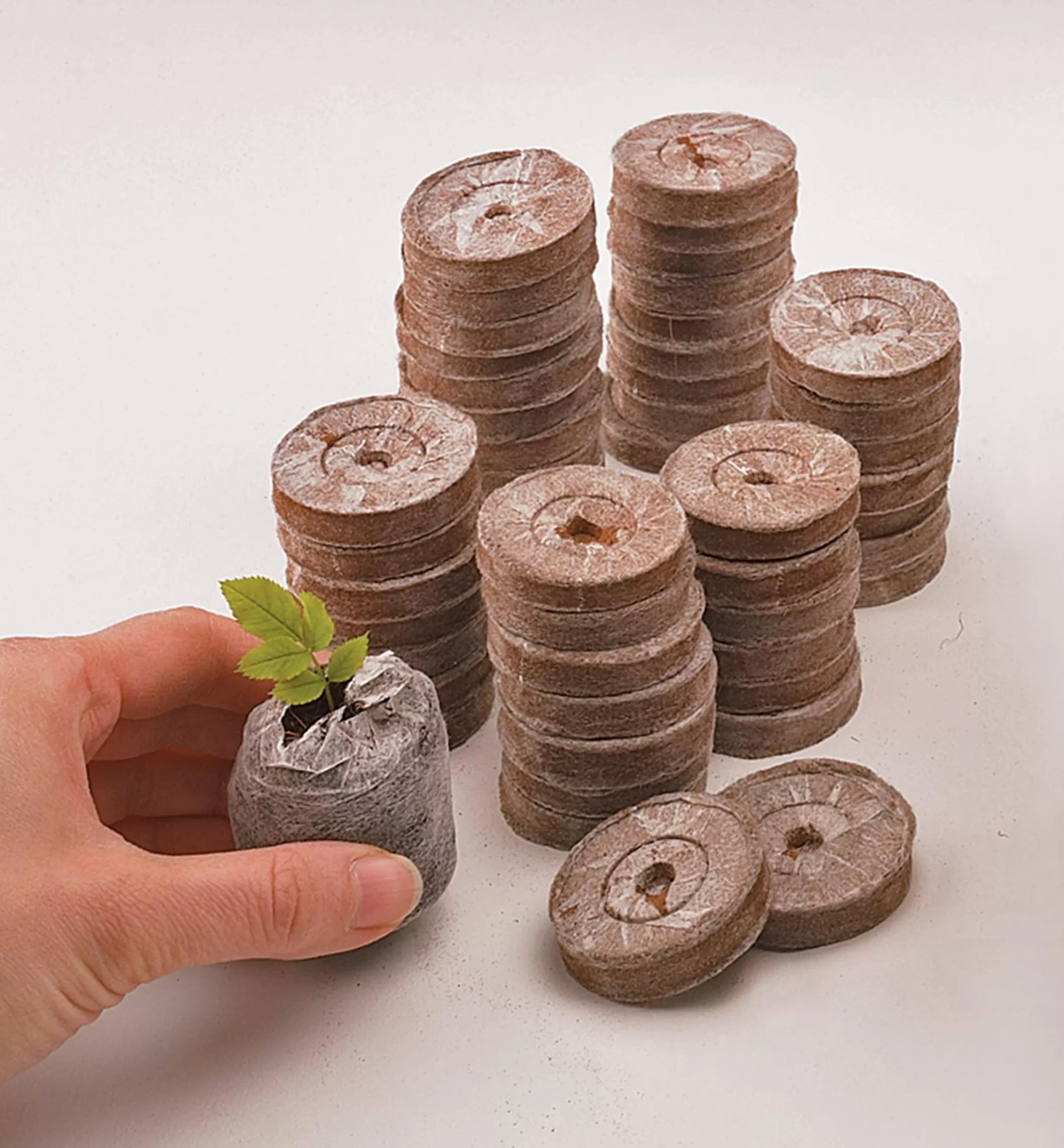 Shop Lee Valley Coir Pellets