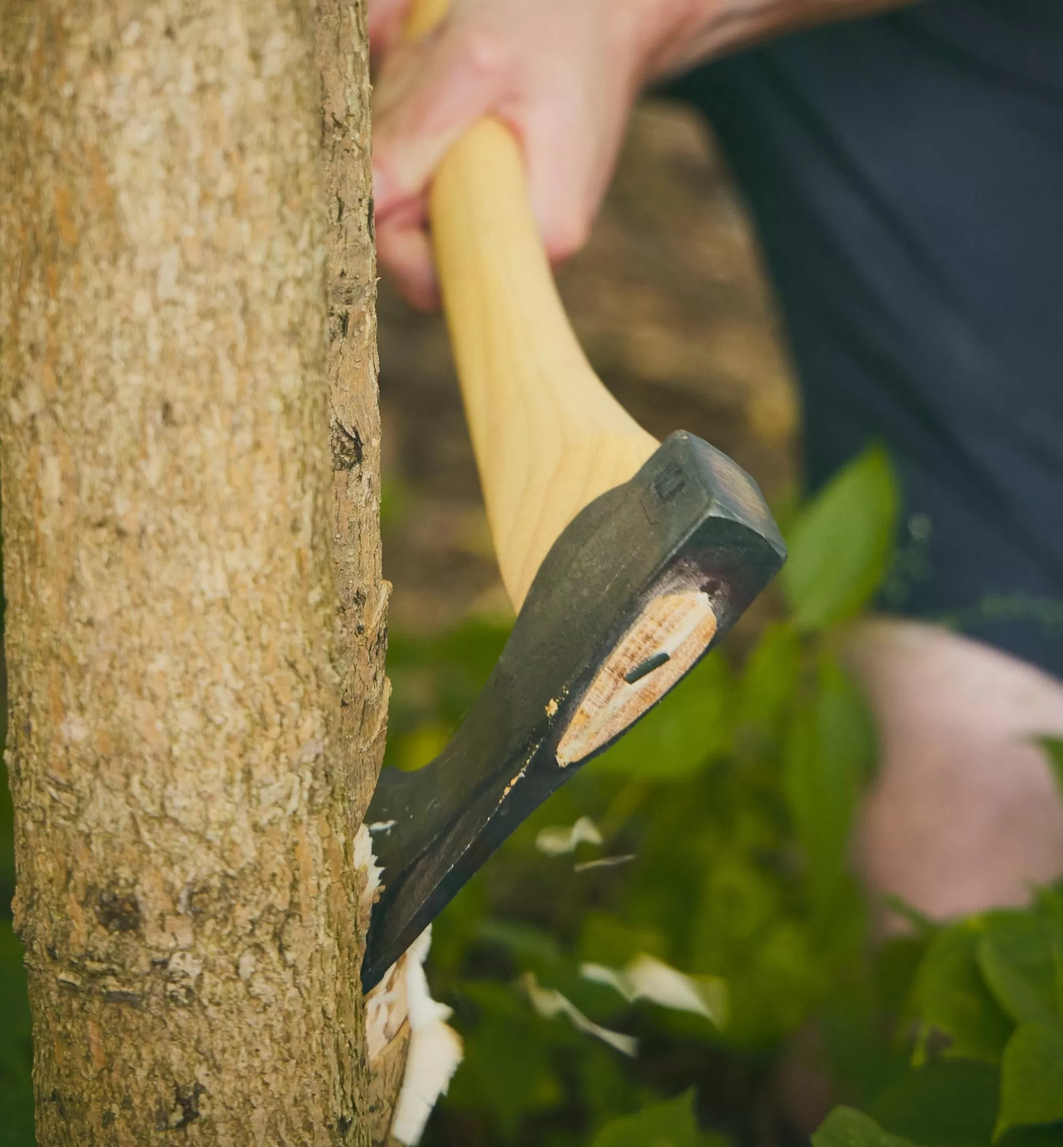 Clearance Lee Valley Council Tool Wood-Craft 24" Pack Axe