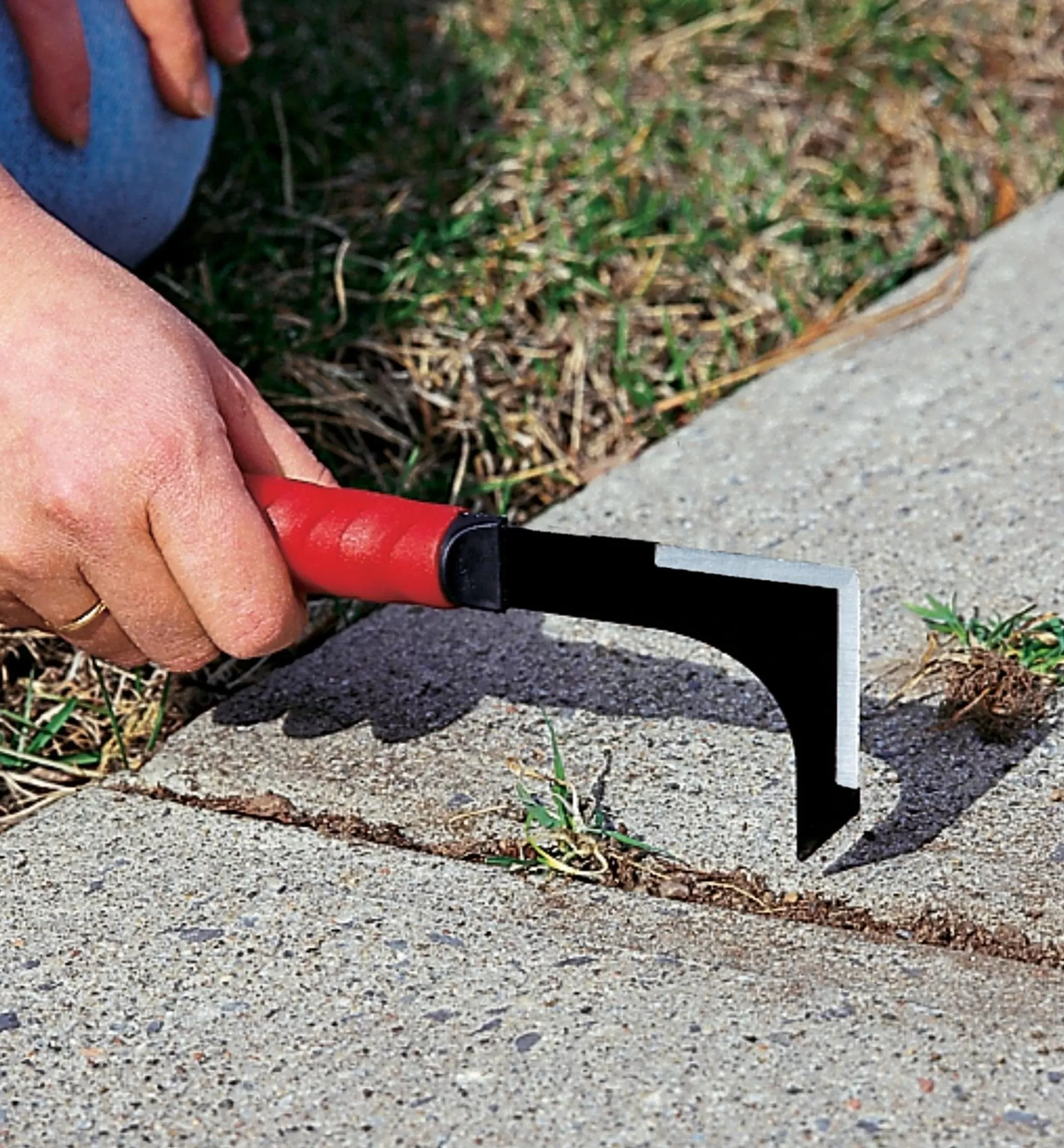 Shop Lee Valley Crack Weeder