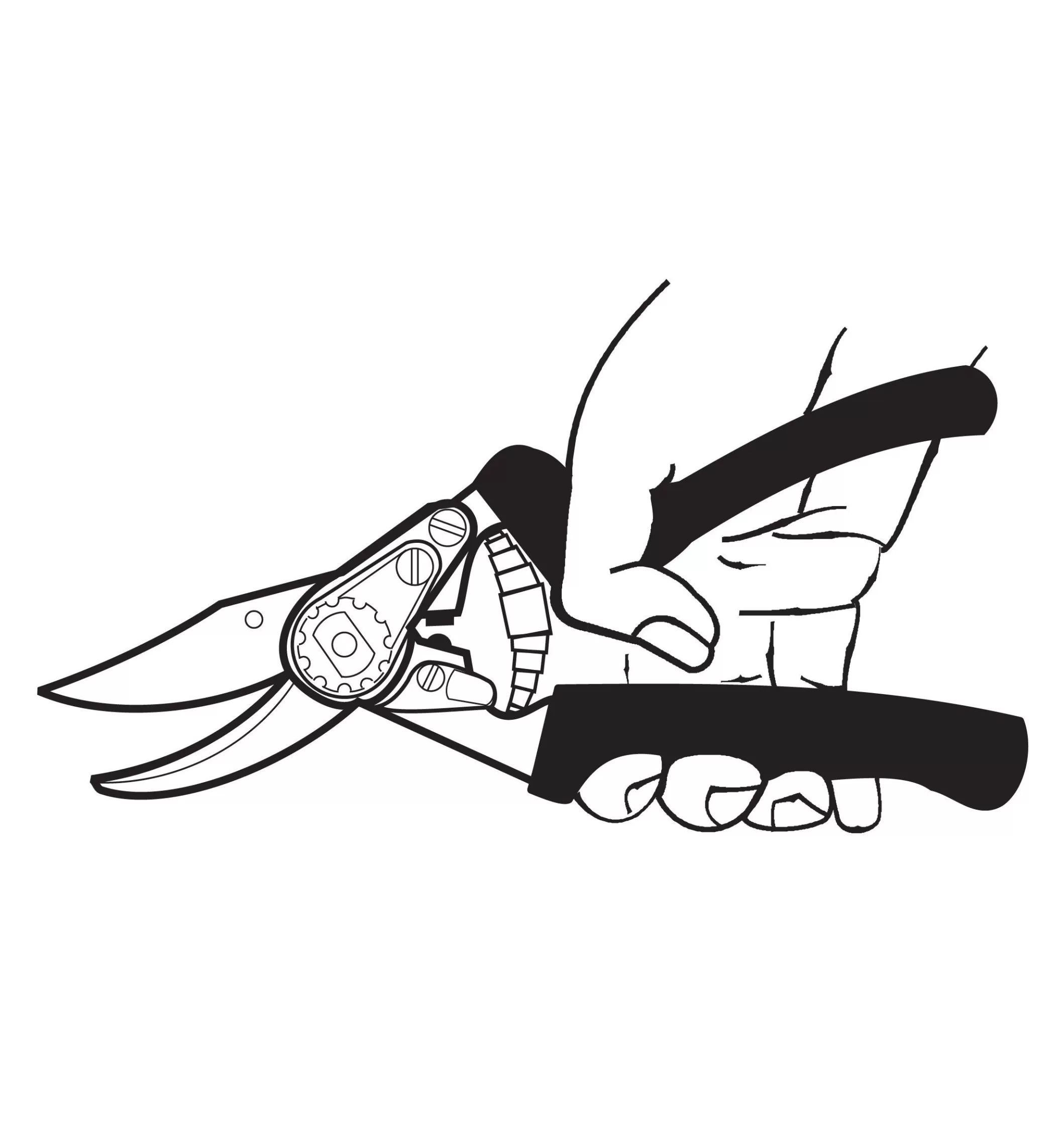 Shop Lee Valley Felco #10 Left-Hand Pruner