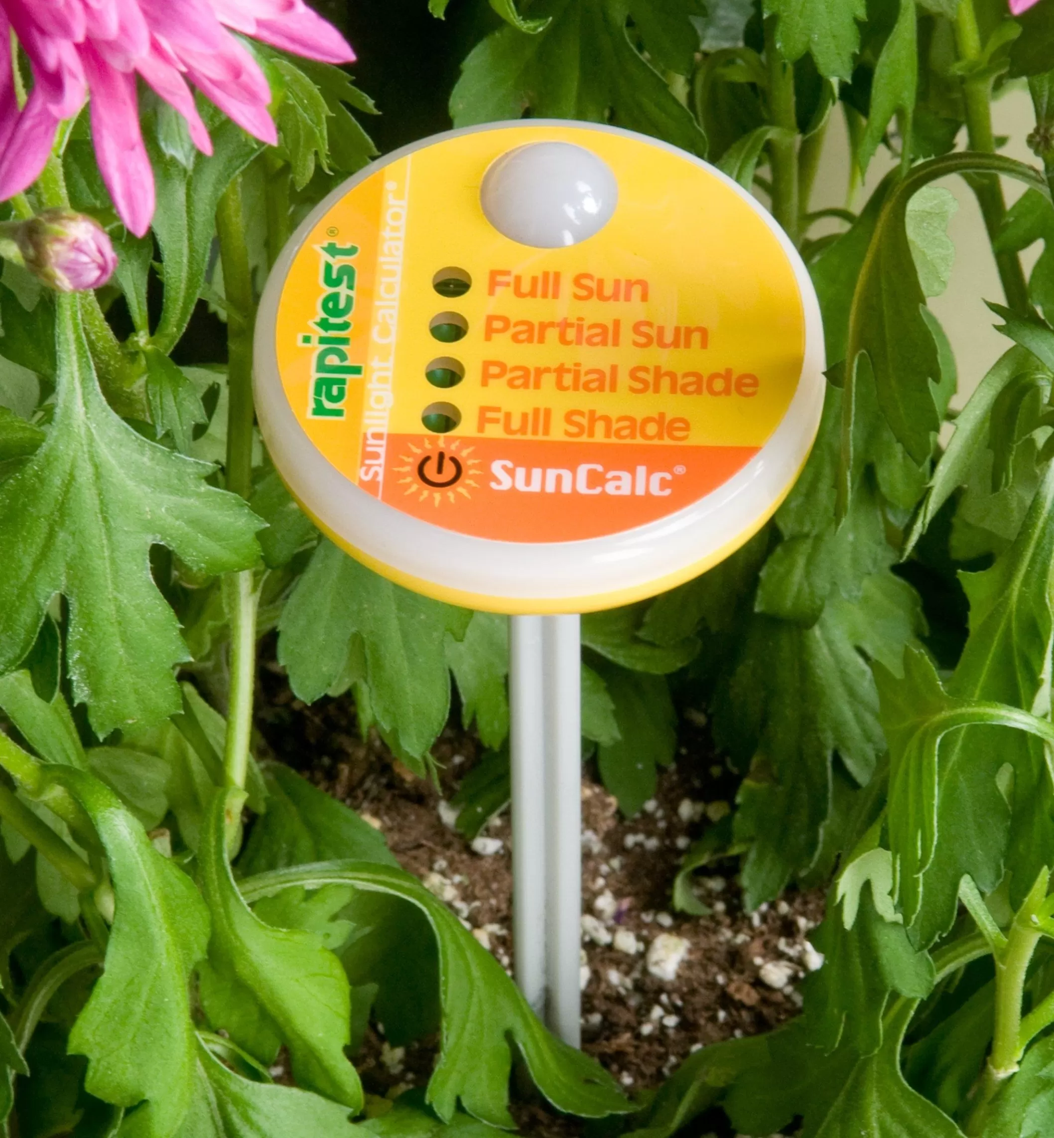 Outlet Lee Valley Know Your Garden Set