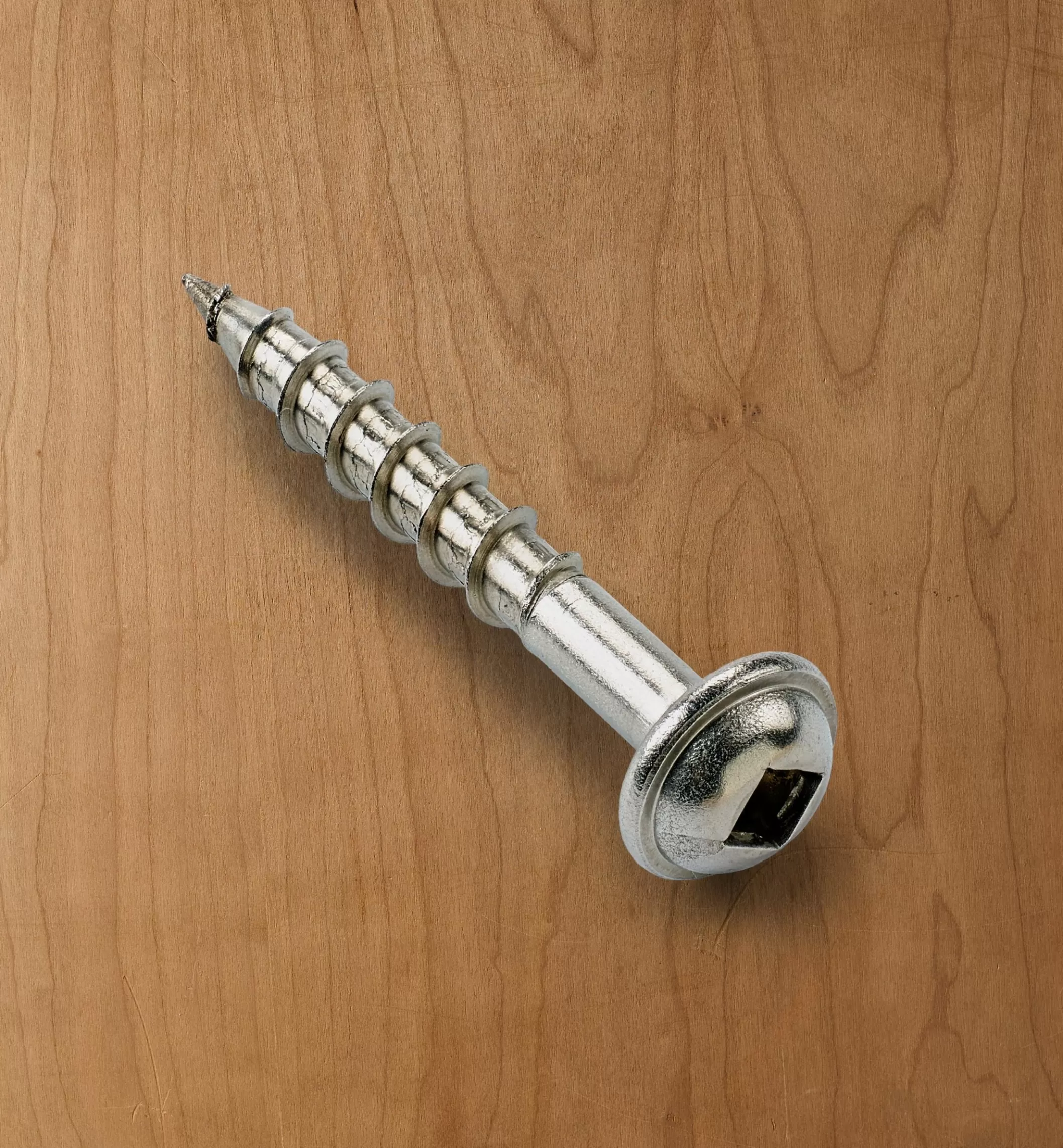 Hot Lee Valley Kreg Stainless-Steel Exterior Pocket-Hole Screws