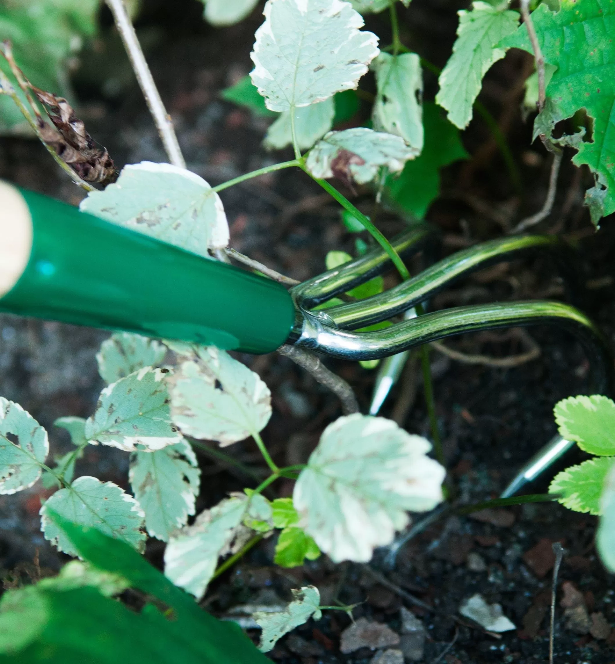 Shop Lee Valley Claw Cultivator
