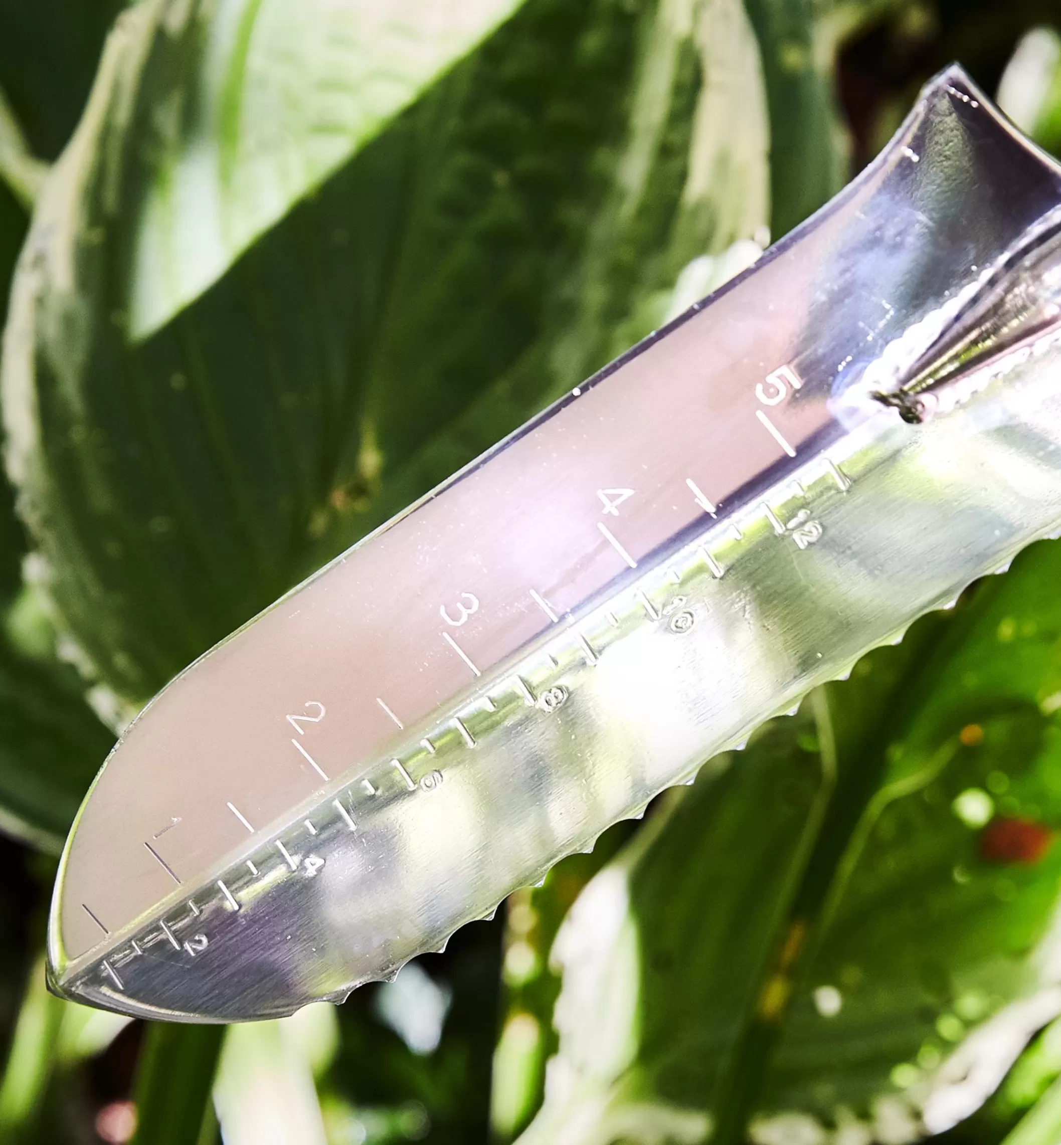 Store Lee Valley Garden Knives