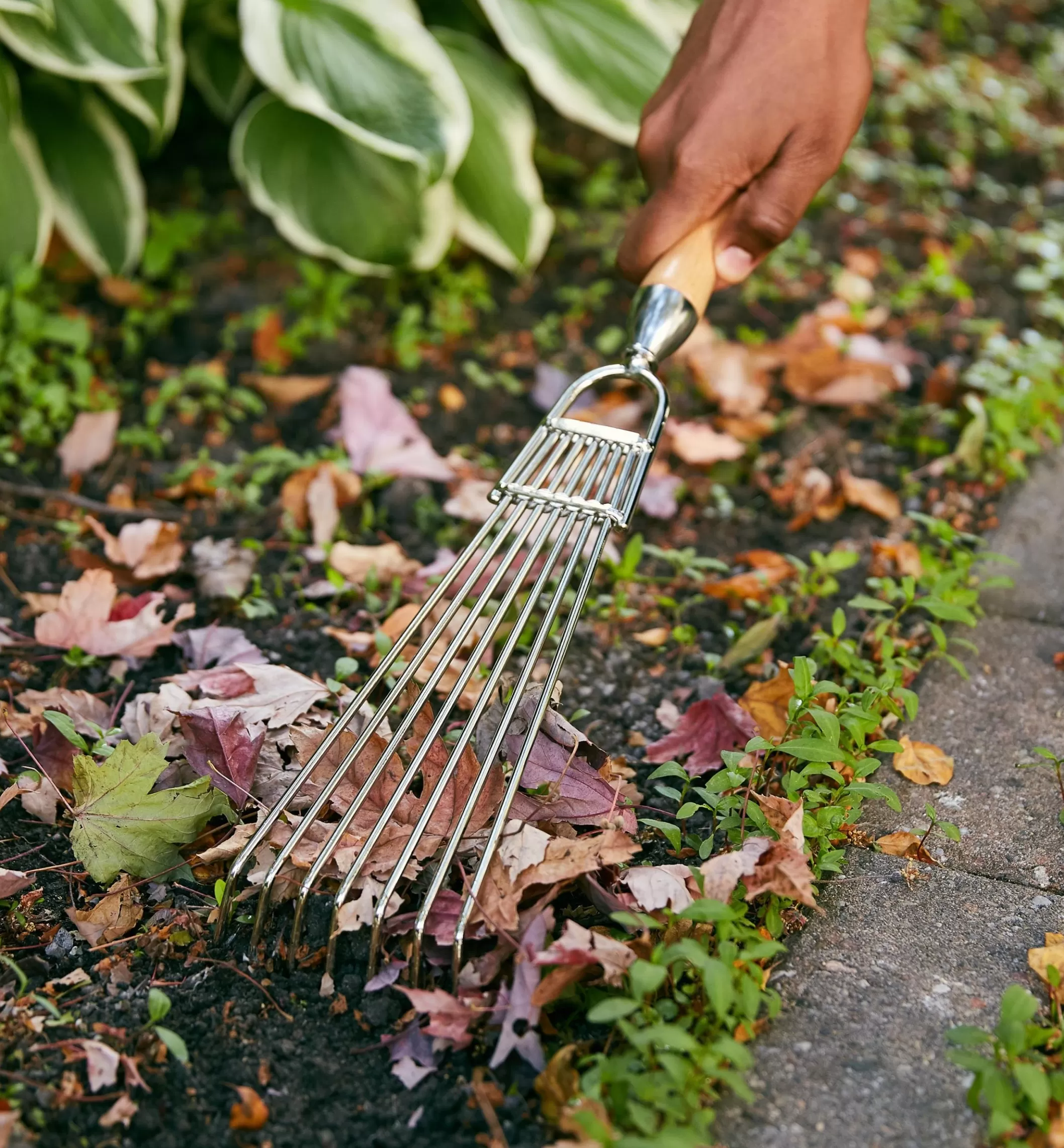 Flash Sale Lee Valley Hand Rake