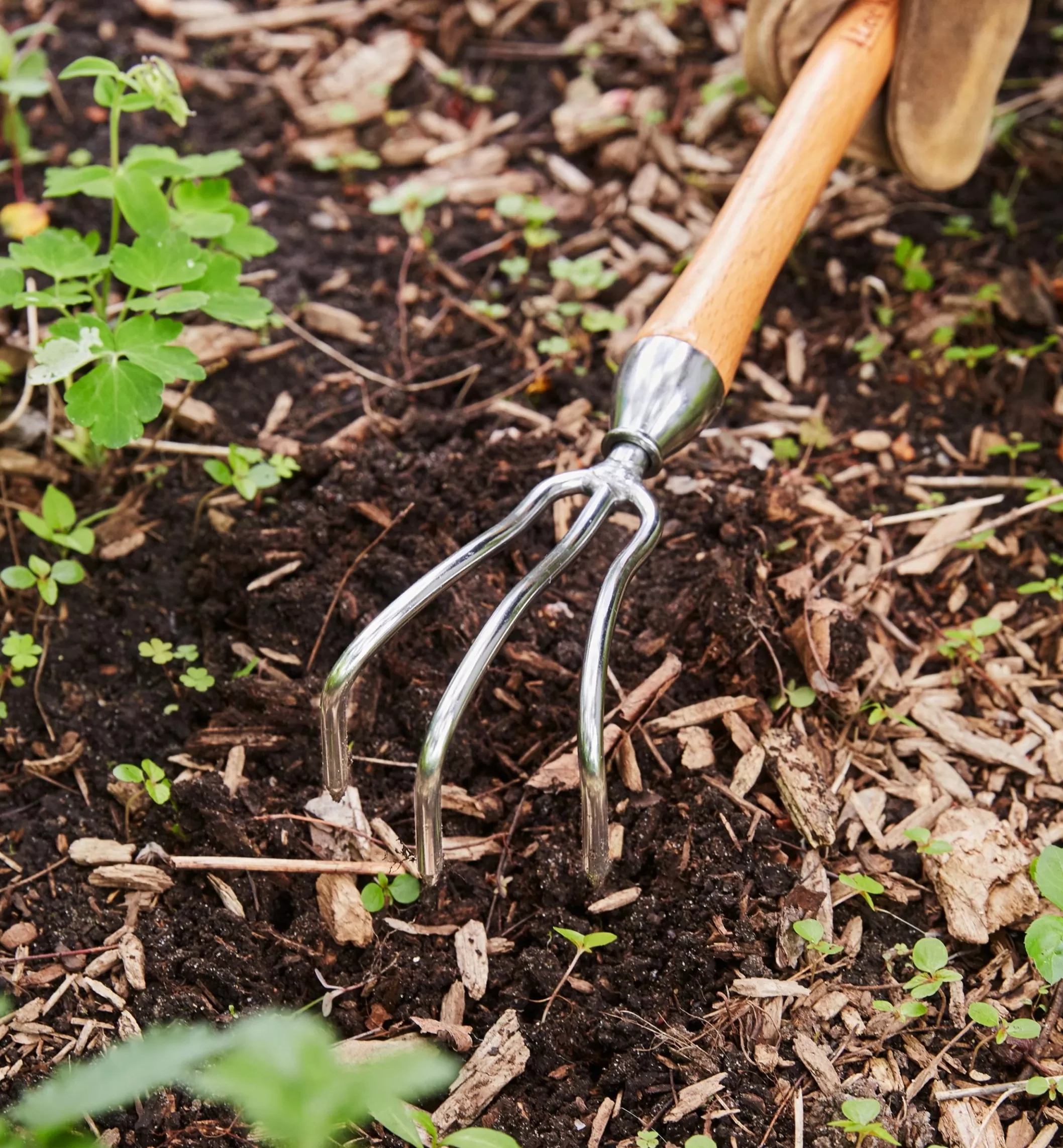 New Lee Valley Mid-Length Three-Prong Cultivator