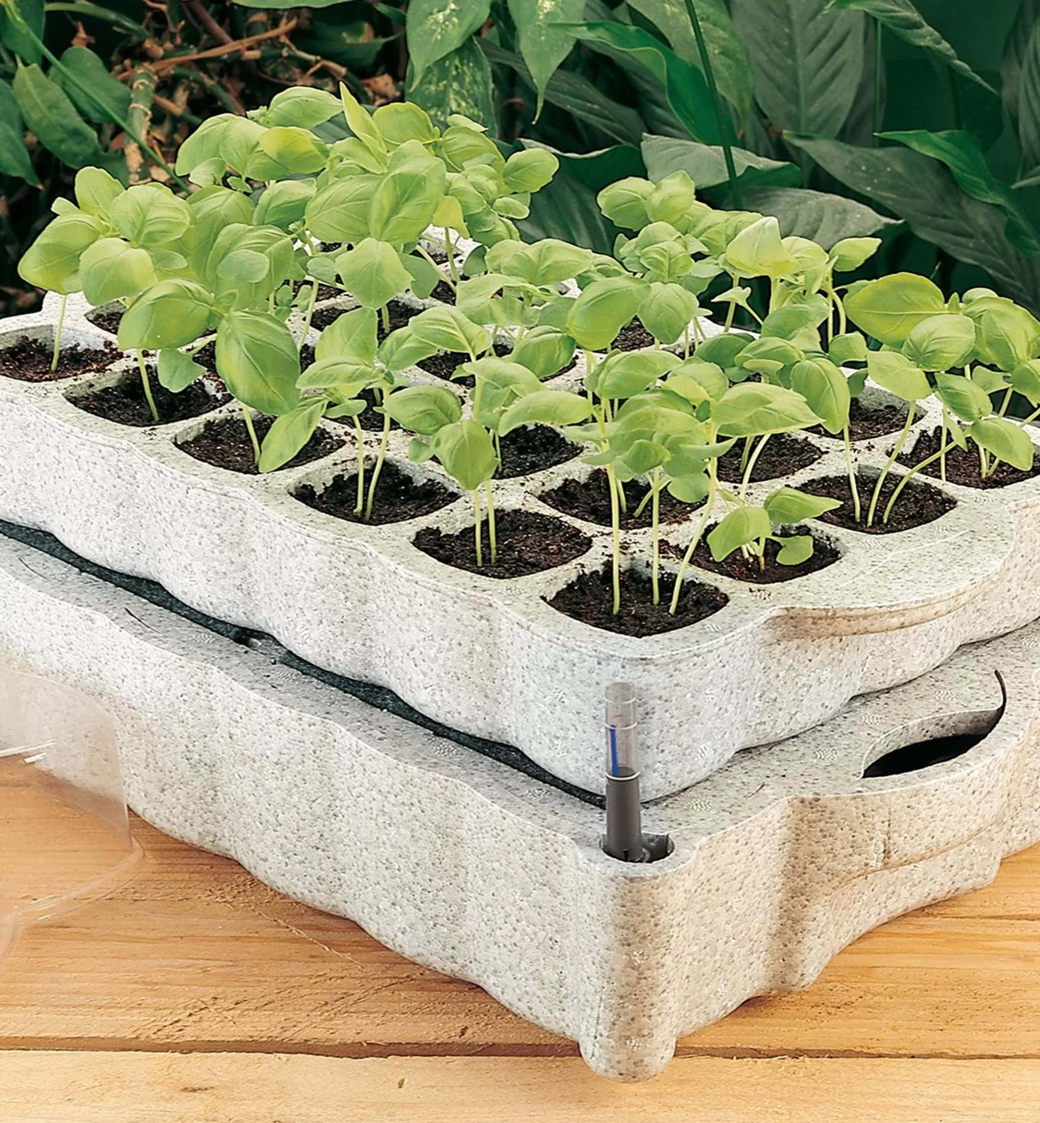 Outlet Lee Valley Self-Watering Seed Starter