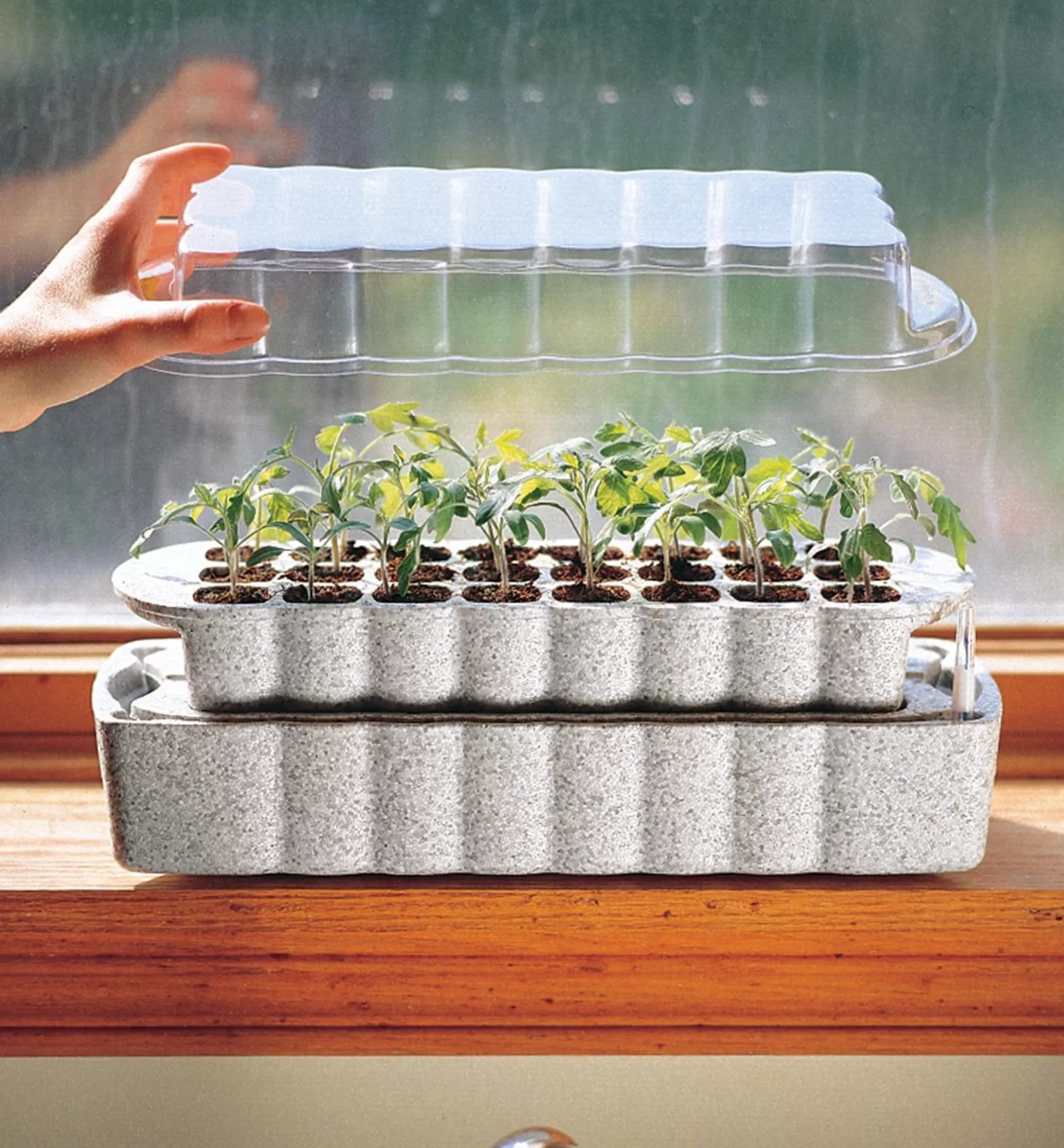 Flash Sale Lee Valley Windowsill Seed Starter