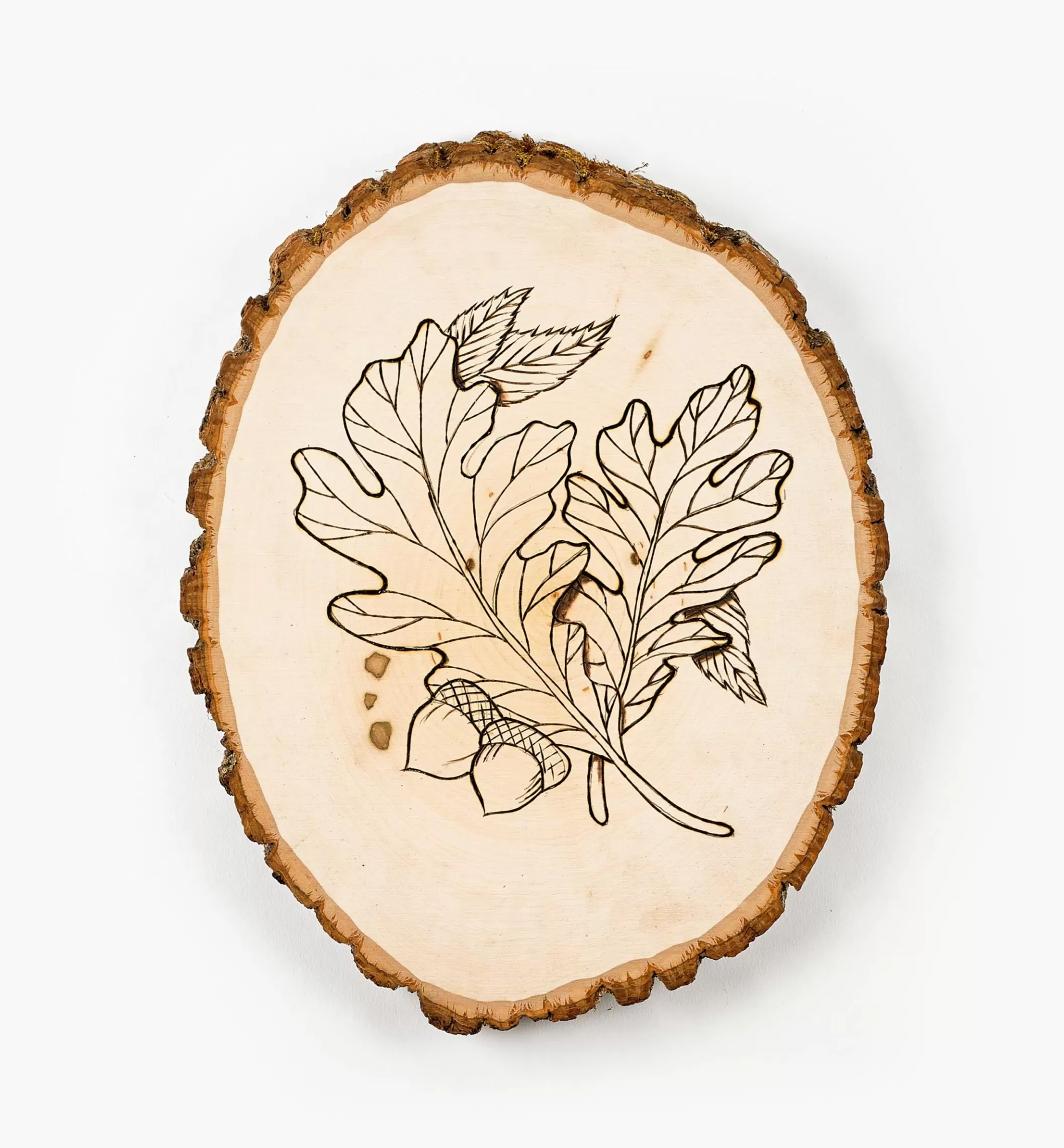 Fashion Lee Valley Live-Edge Oval Basswood Plaques