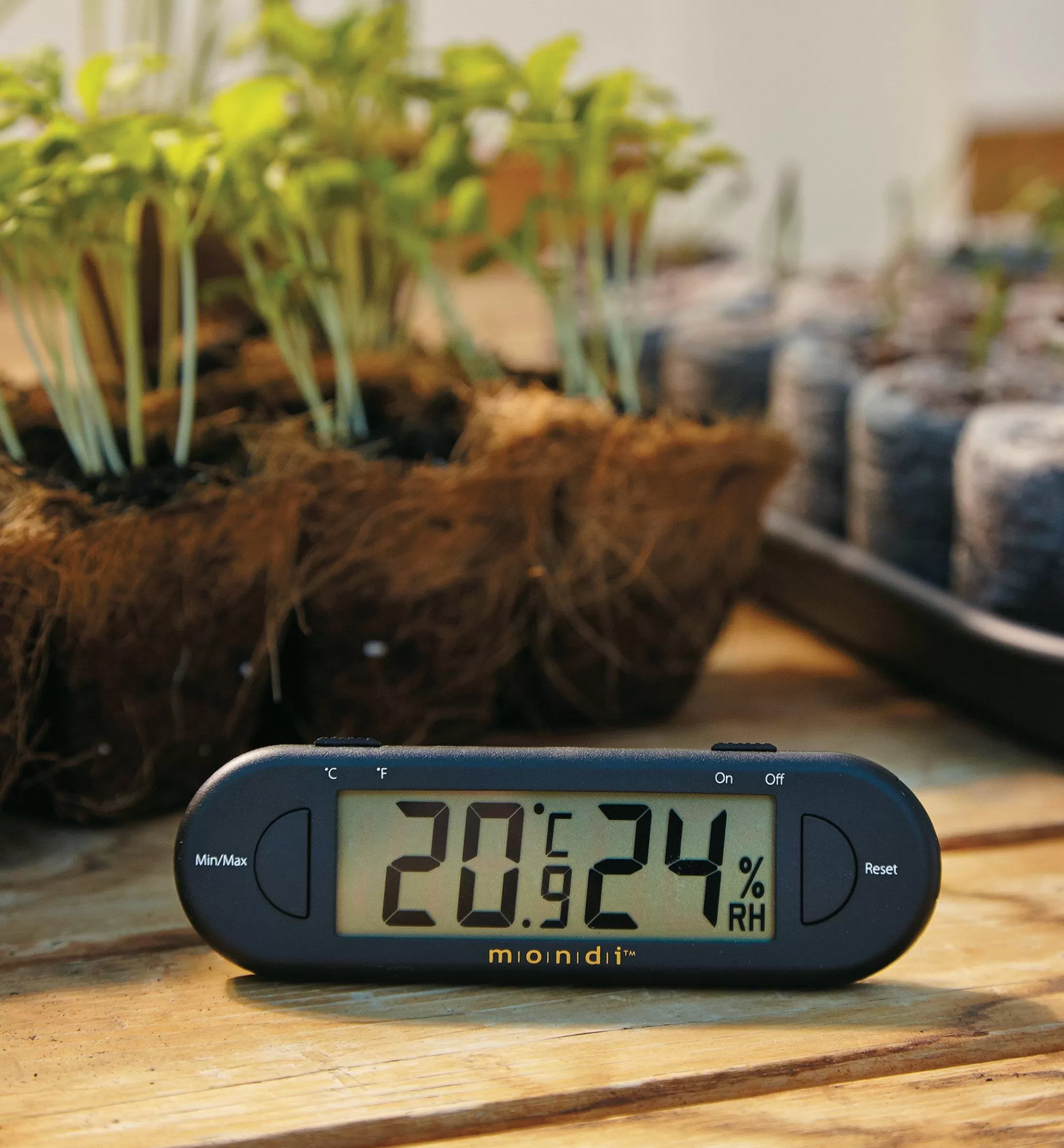 Shop Lee Valley Mini Hygrometer/Thermometer
