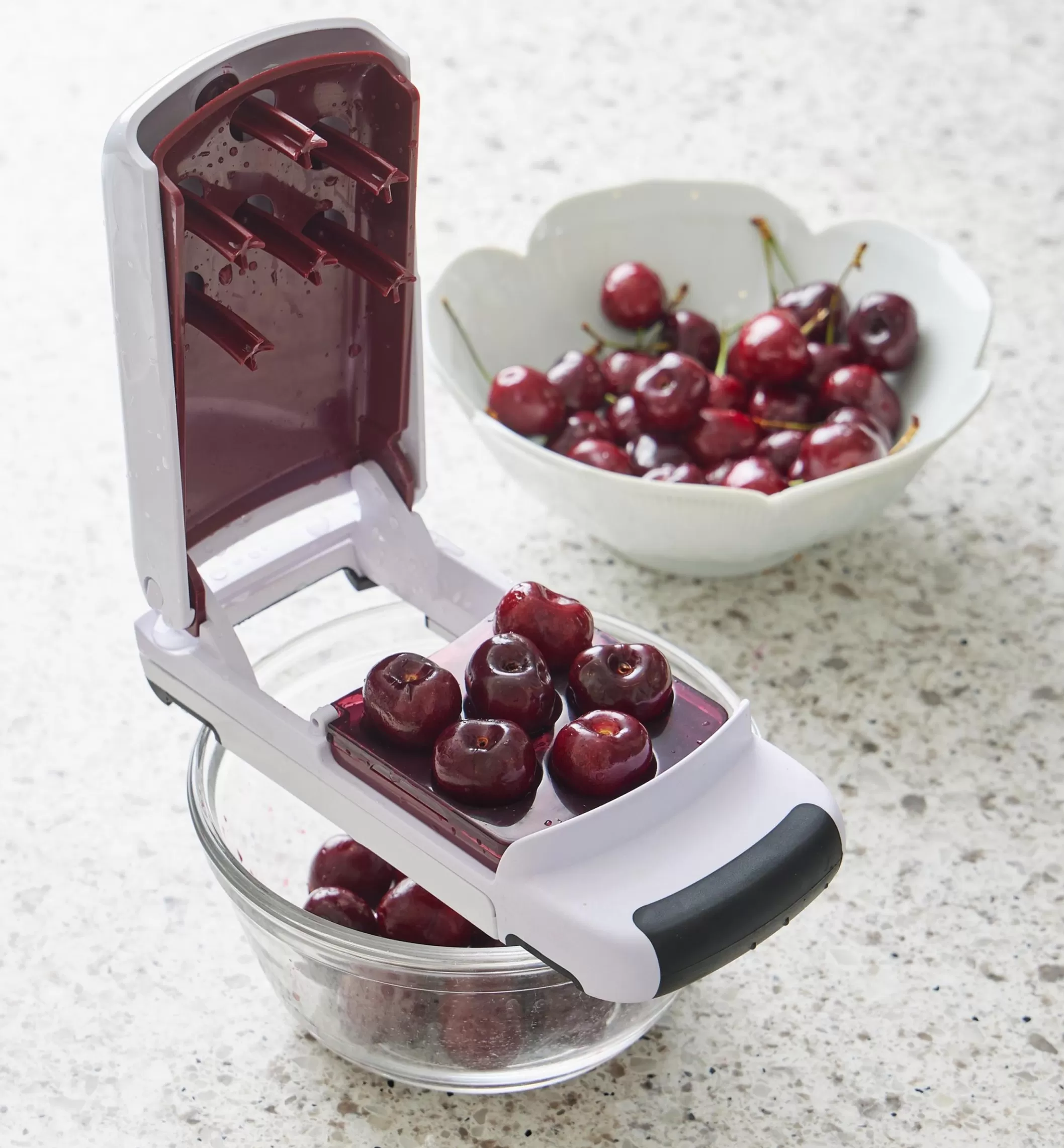 Shop Lee Valley Multi-Cherry Pitter