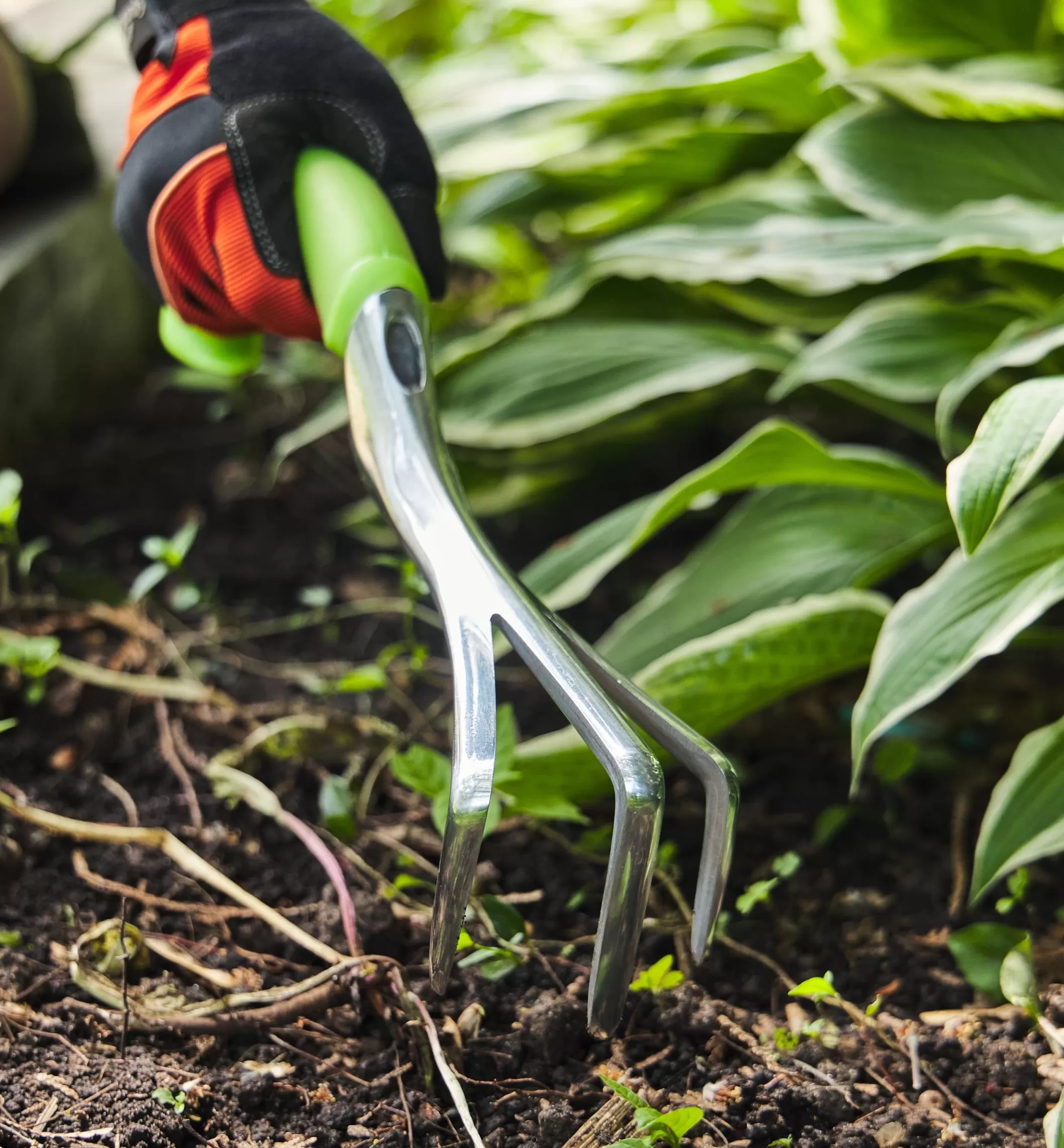 Hot Lee Valley Radius Ergonomic Hand Cultivator
