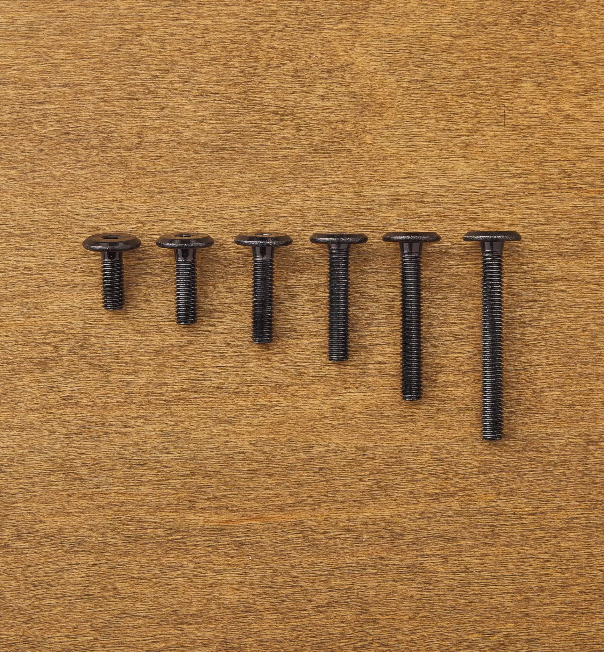 Flash Sale Lee Valley Rampa Black M6 Flat-Head Bolts