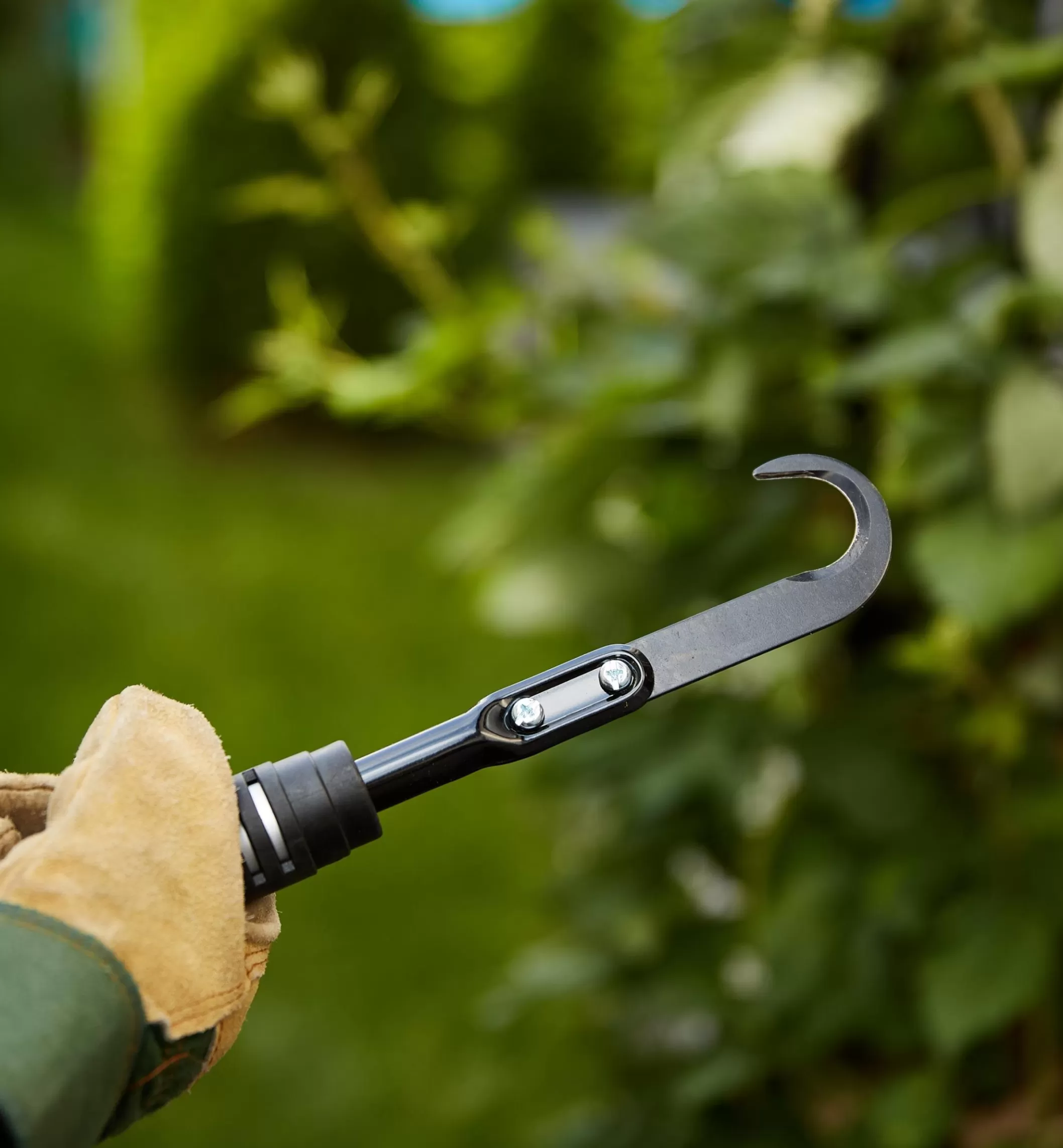 Store Lee Valley Raspberry Cane Cutter