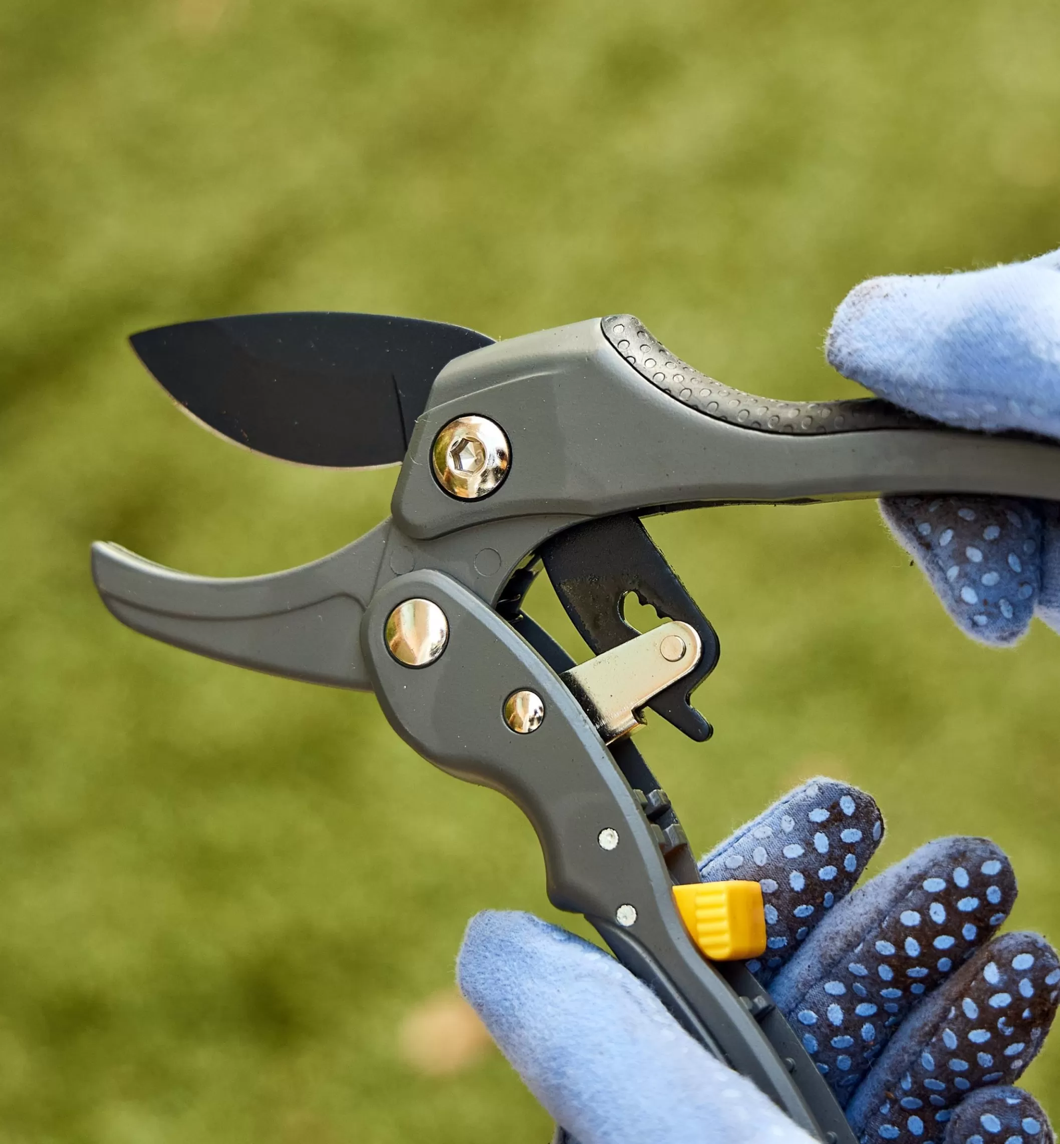 Sale Lee Valley Ratcheting Hand Pruner