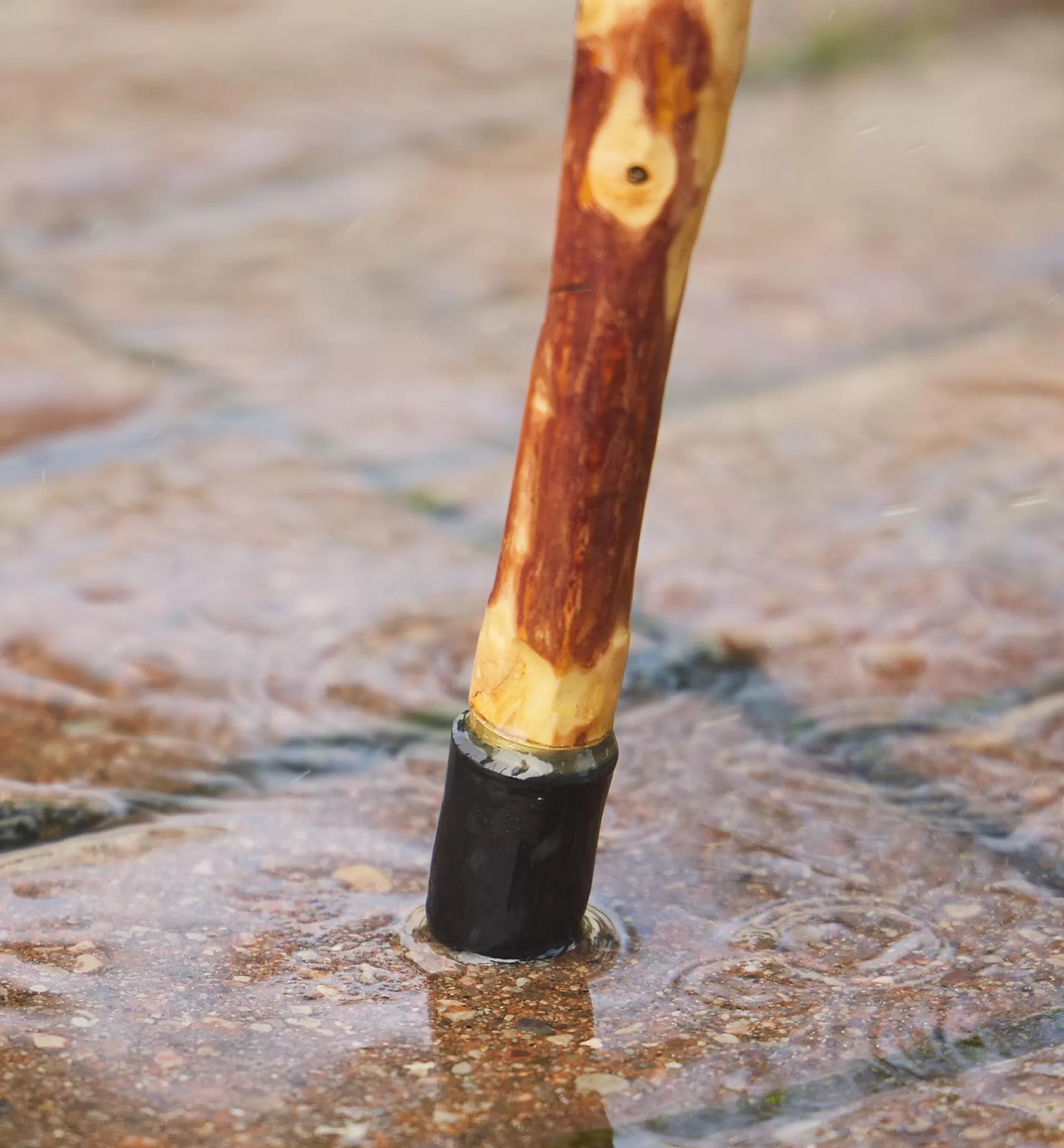 Flash Sale Lee Valley Rubber/Brass Cane Tip