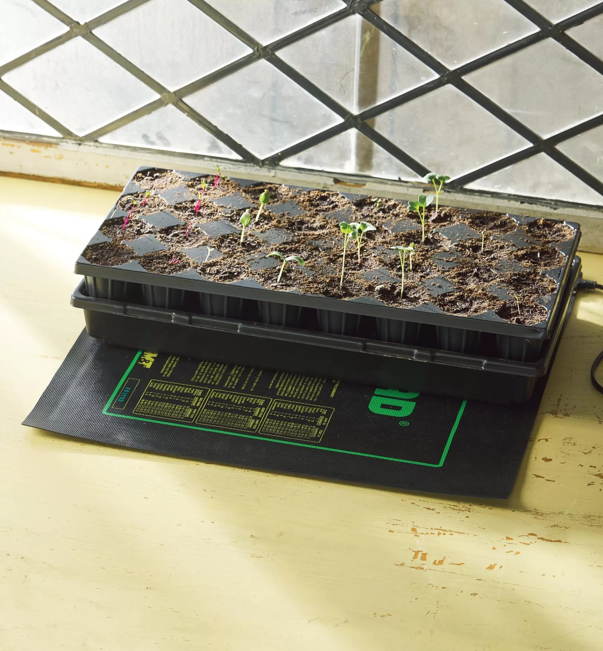 Fashion Lee Valley Seedling Heat Mats