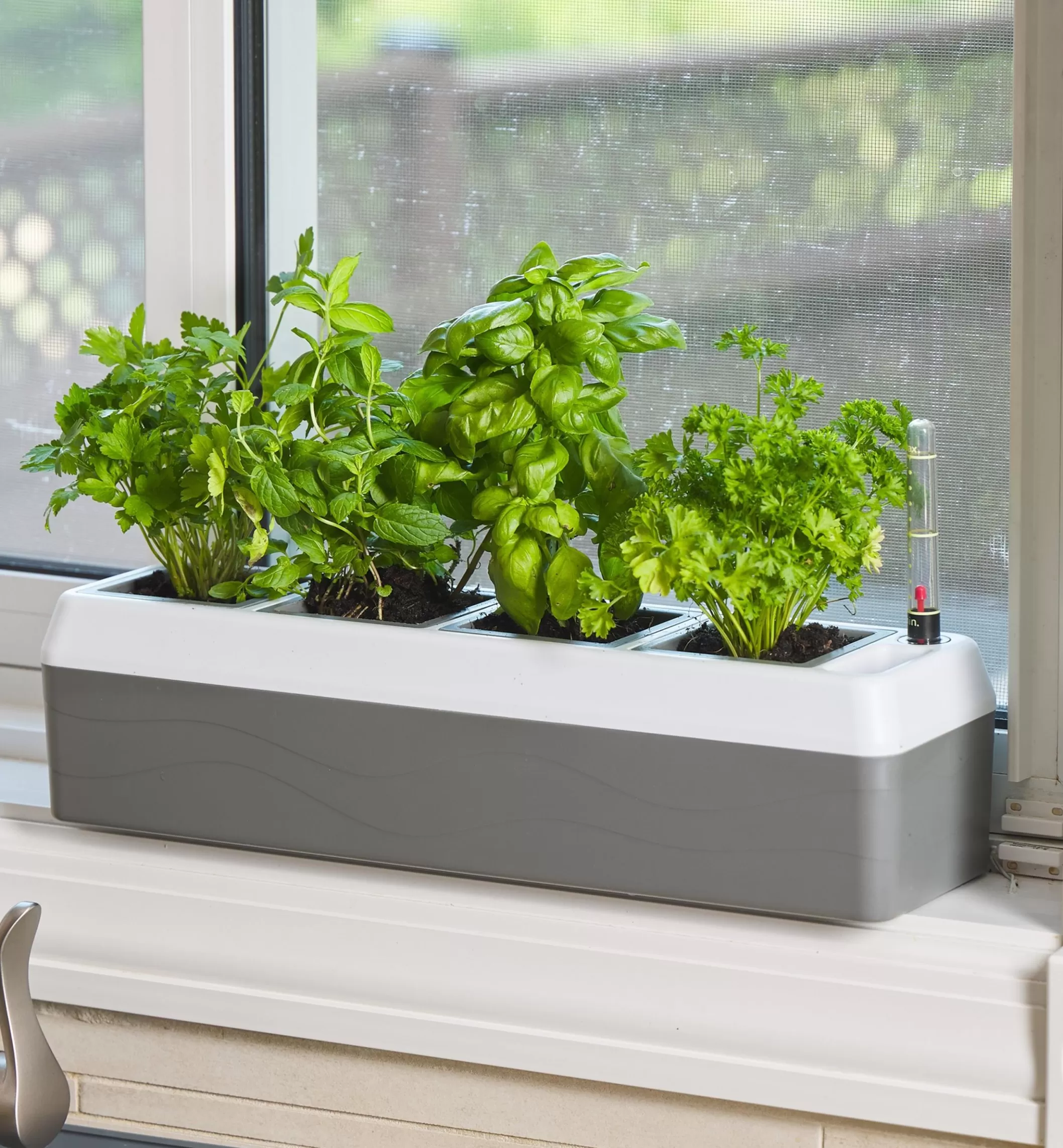 Flash Sale Lee Valley Self-Watering Windowsill Planter