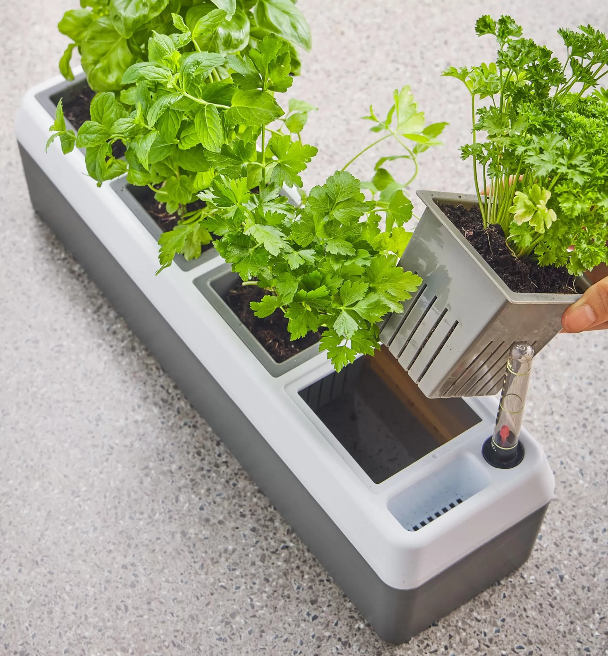 Flash Sale Lee Valley Self-Watering Windowsill Planter