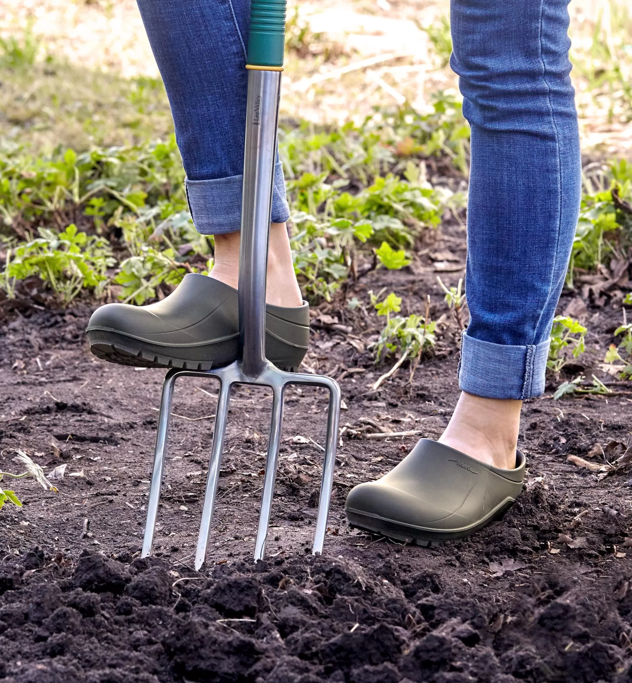 Flash Sale Lee Valley Stainless-Steel Forks