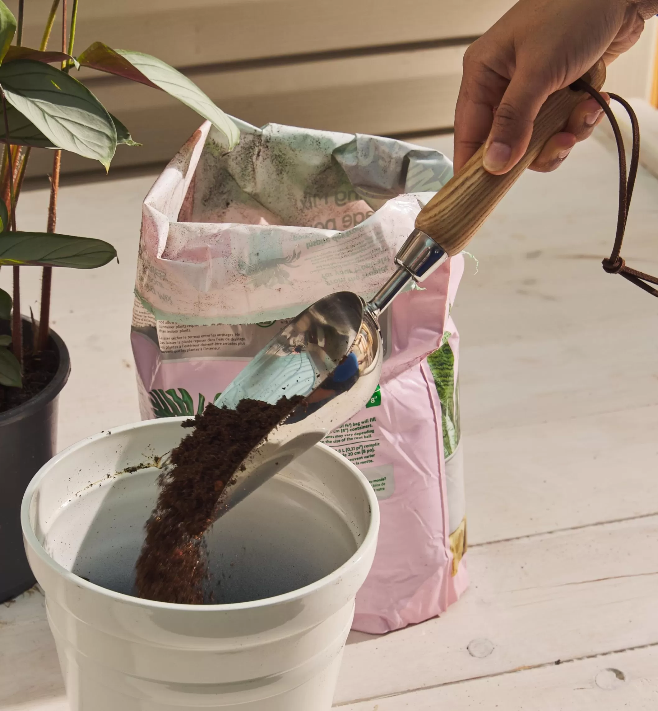 Discount Lee Valley Stainless-Steel Scoop