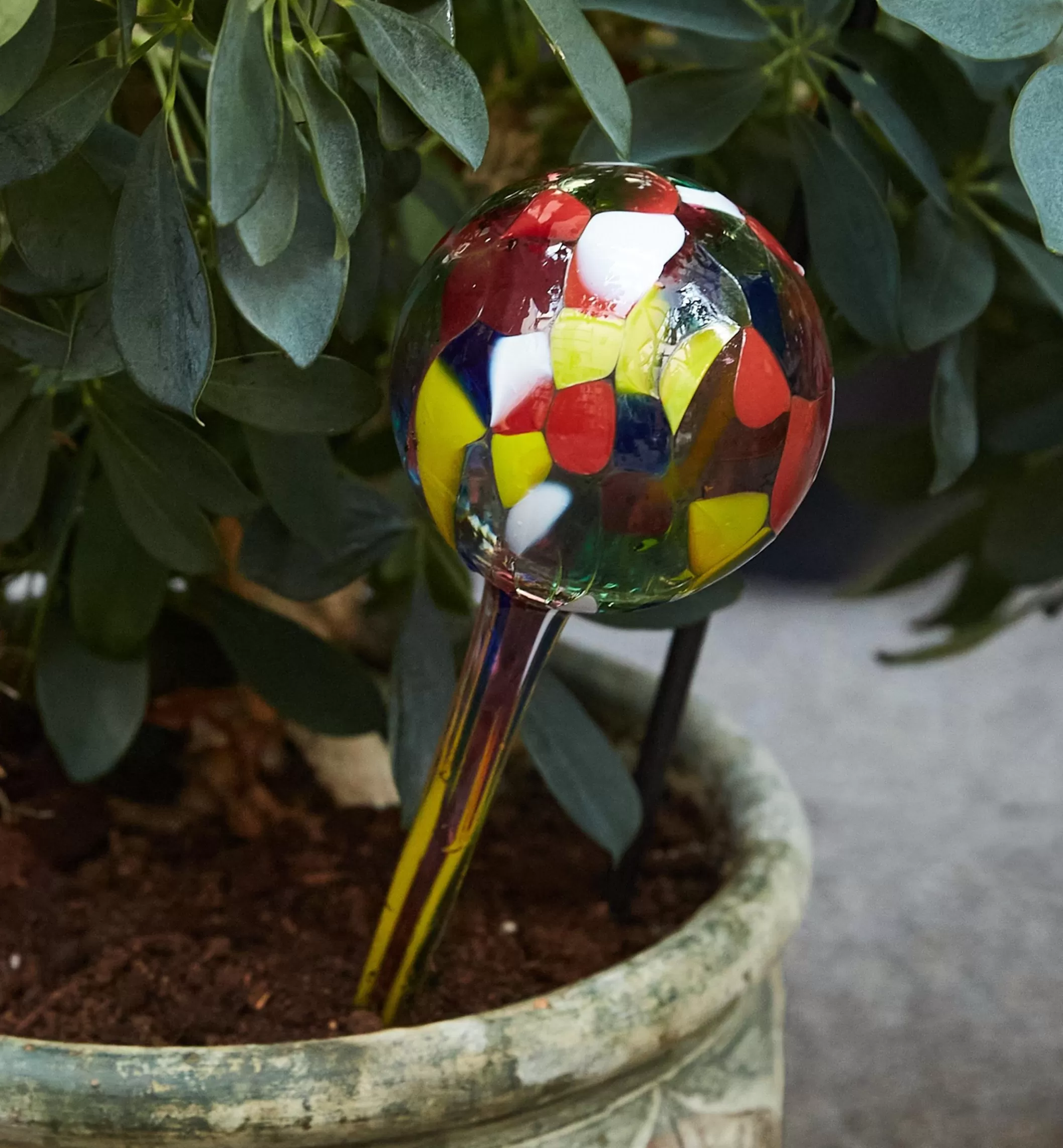 Discount Lee Valley Watering Bulb
